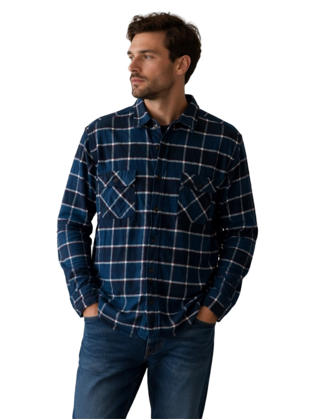 Jachs Navy and Red Plaid Flannel Shirt